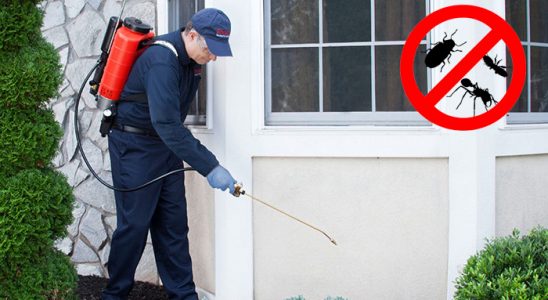 Bahçelerarası Karınca İlaçlama böcek ilaçlama ve haşere kontrolü — ilaclama-tr.com